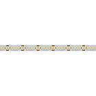 Светодиодная лента RT6-3528-240 24V White6000 4x (1200 LED) (Arlight, 19.2 Вт/м, IP20) Lednikoff