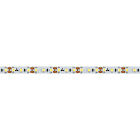Светодиодная лента RT 2-5000 12V Day4000 2x (2835, 600 LED, PRO) (Arlight, 14.4 Вт/м, IP20) Lednikoff