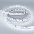 Светодиодная лента MICROLED-5000HP 24V White5500 10mm (2216, 300 LED/m, LUX) (Arlight, 21.6 Вт/м, IP20) Lednikoff