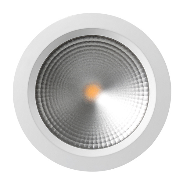 Светодиодный светильник LTD-220WH-FROST-30W White 110deg (Arlight, IP44 Металл, 3 года) Lednikoff