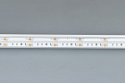 Светодиодная лента CSP-X840-12mm 24V RGBW-Day (17.2 W/m, IP20, 5m)  (Arlight, 5 лет) Lednikoff