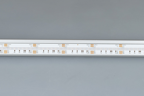 Светодиодная лента CSP-X840-12mm 24V RGBW-Day (17.2 W/m, IP20, 5m)  (Arlight, 5 лет) Lednikoff